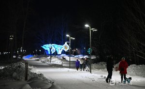 Ночью 10 января на востоке Татарстана похолодало до -42 градусов