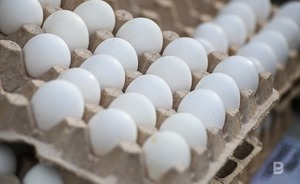 Турецкие предприятия начали поставлять в Россию яйца