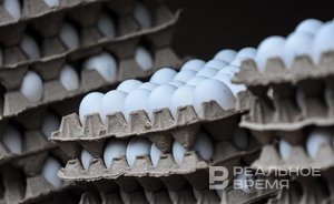 Поставки куриных яиц из Белоруссии в Россию за год выросли почти вдвое