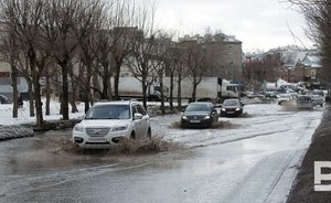 Синоптики пообещали россиянам «весну в середине зимы»