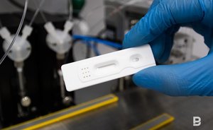 Разработанные в Казани тесты на COVID-19 могут использовать для тестирования на мышиную лихорадку