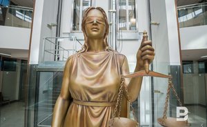 В Татарстане суд направил на принудительное лечение напавшую на сыновей с ножом женщину