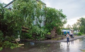 Ущерб, нанесенный стихией Крыму, оценили в 39,7 млрд рублей