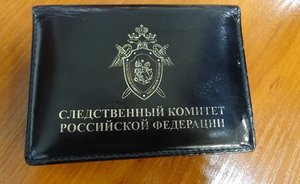 Следком РТ проверит должностных лиц, которые не отреагировали на жалобы об агрессивных алабаях