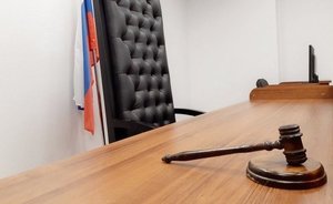 В Татарстане экс-главу фермерского хозяйства обвиняют в преднамеренном банкротстве