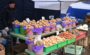 В Татарстане продолжает дешеветь «борщевой набор»