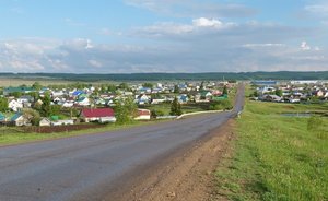 Молодежь из сел Татарстана получит до 200 тыс. рублей на реализацию своих проектов