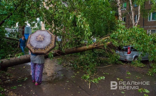 Татарстанцев предупредили о грозе и сильном ветре 13 июля