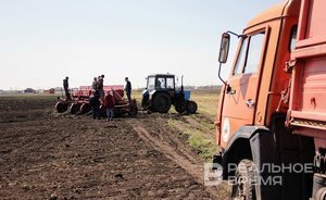 Россия снизит урожай ржи до 1,8 млн тонн
