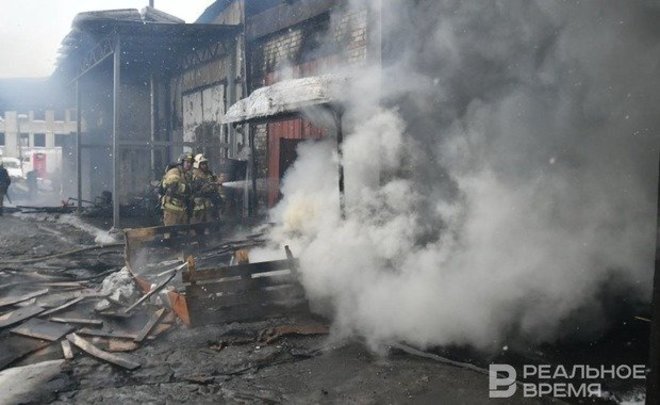 На пожарах в России погибли 267 детей с начала года