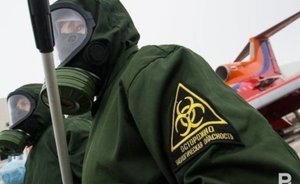 Появились первые снимки размножения коронавируса