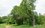 На одного жителя Татарстана приходится более 280 деревьев