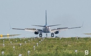 112: пассажир рейса Москва — Казань полуголым выбежал на взлетно-посадочную полосу в Домодедово