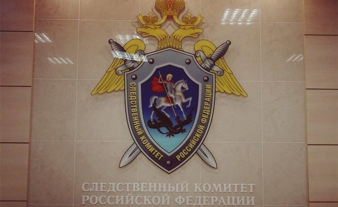 Нижнекамцу, нападавшему на беременных женщин, продлили арест до ноября