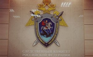 Нижнекамцу, нападавшему на беременных женщин, продлили арест до ноября