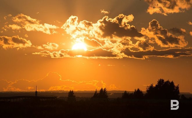 Лето 2021 года стало самым теплым в Европе за последние три десятилетия