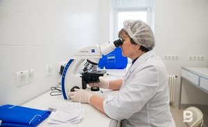 В правительстве назвали дату пика заболеваемости коронавирусом — он был больше месяца назад