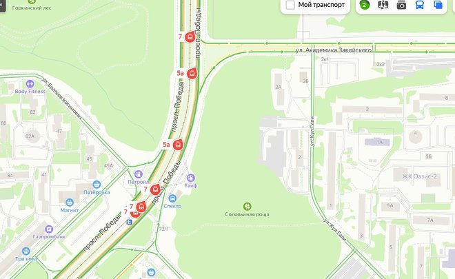 В Казани на проспекте Победы встали трамваи — люди идут до остановки пешком