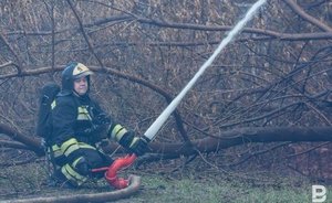 Владимир Путин выразил соболезнования и слова поддержки Токаеву из-за лесных пожаров в Казахстане