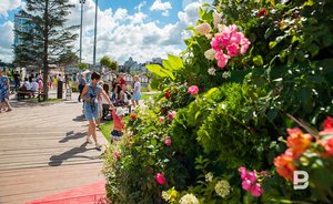 Цветочное оформление и озеленение Казани подешевело почти на миллион рублей