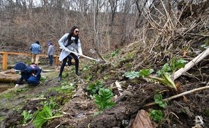 В Казани от борщевика Сосновского обработают территории площадью 140 га