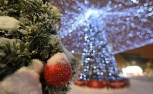 Россиянам одобрили новогодние каникулы в 2021 году в 10 дней