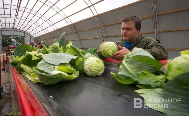 В Татарстане «борщевой набор» дешевеет три недели подряд