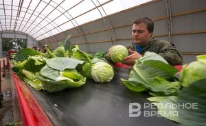 В Татарстане «борщевой набор» дешевеет три недели подряд