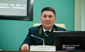 За 10 месяцев текущего года в Татарстане было зафиксировано 106 случаев незаконной рубки лесов