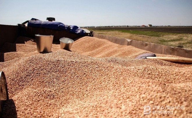 Песков: Москва незамедлительно вернется к зерновой сделке после выполнения всех условий России