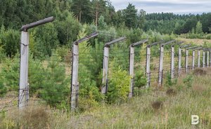 Татарстан выделит 4 млн на стенды для обозначения границ особо охраняемых природных территорий
