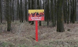 В Татарстане продлили штормовое предупреждение из-за высокой пожароопасности лесов