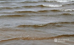 В Татарстане открыли новые родники после расчистки русла реки Берсут