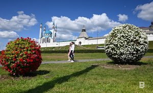 В воздухе Казани выявили повышенную концентрацию аммиака и формальдегида