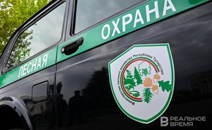 С начала года за нарушения правил безопасности в лесах Татарстана выписано штрафов на 1,2 млн рублей