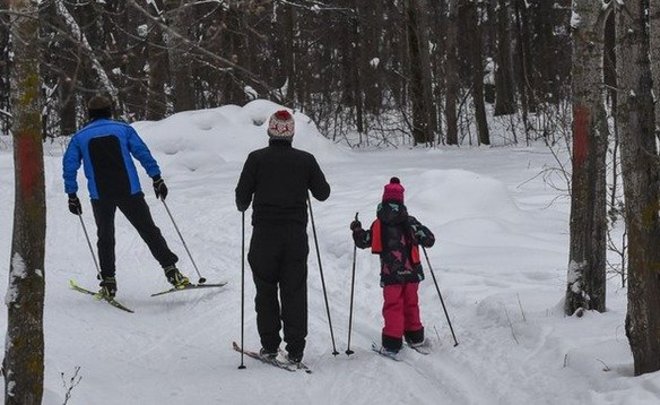 В Нижнекамске 2023-й объявили Годом здорового образа жизни