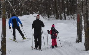 В Нижнекамске 2023-й объявили Годом здорового образа жизни