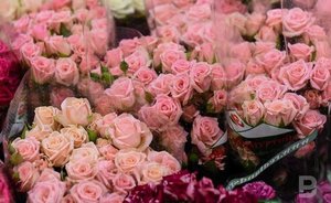 Продавцы предупредили россиян о рекордном подорожании цветов к 8 Марта