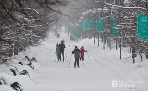 Татарстанцев предупредили о сильном юго-западном ветре в четверг