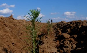 «Нижнекамскнефтехим» провел масштабную рекультивацию илонакопителей в Нижнекамском районе