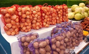 В Татарстане за неделю подешевела часть овощей «борщевого набора»