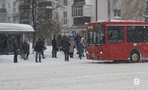 Профессор метеорологии КФУ: до конца марта в Татарстане ожидается минусовая температура