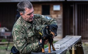 Татарстанские таможенники раскрыли аферу по незаконному выводу денег из страны и подделке молочных продуктов