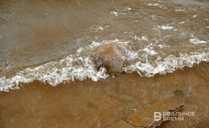 Проект благоустройства казанского озера вошел в шорт-лист международной премии Гуанчжоу