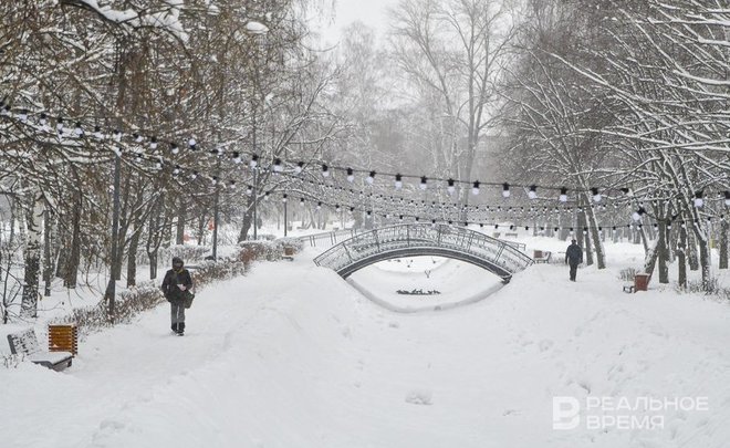 Татарстанцев предупредили о метели, мокром снеге и сильном ветре 2 января