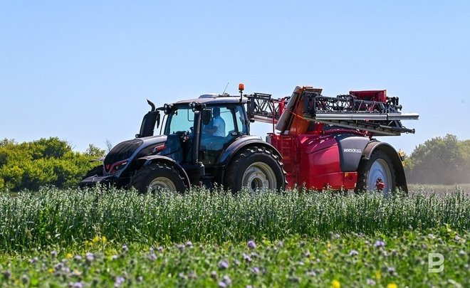В Татарстане на Всероссийском дне поля ожидают представителей новых регионов страны