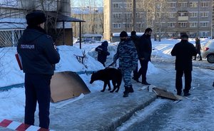 За поджог опорного пункта полиции в казанском поселке Дербышки возбудили уголовное дело