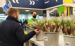 Исследование: 44% россиян собираются дарить цветы на 8 Марта