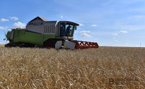 Татарстанским фермерам выдали гранты «Агростартап» на 158,9 миллиона рублей