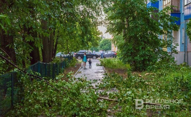 Татарстанцев предупредили о грозе и сильном ветре 25 июля